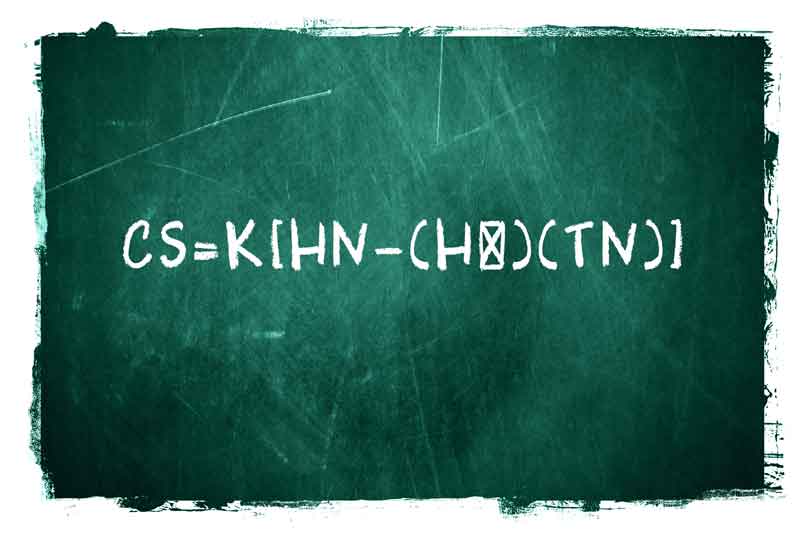 child support equation