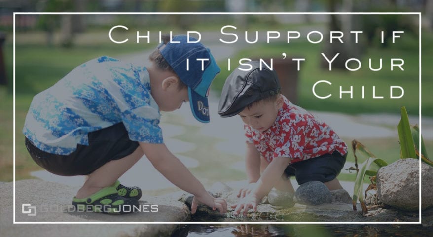 child support non-biological child