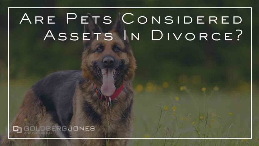 are pets assets in divorce