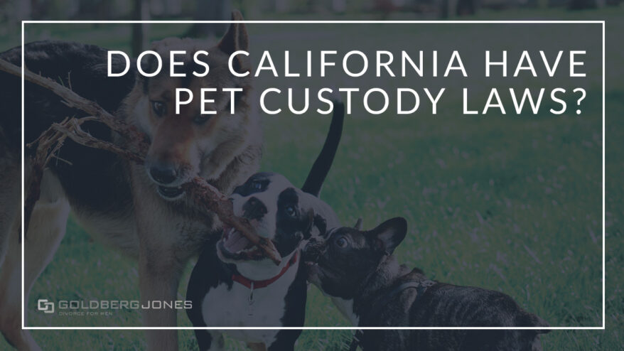who gets custody of pets
